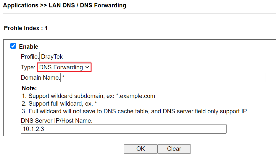 setup lan dns forwarding profile